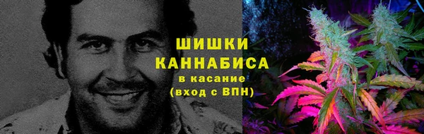 ГАЛЛЮЦИНОГЕННЫЕ ГРИБЫ Беломорск