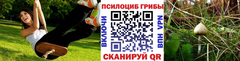 Псилоцибиновые грибы Psilocybe  как найти наркотики  Меленки 